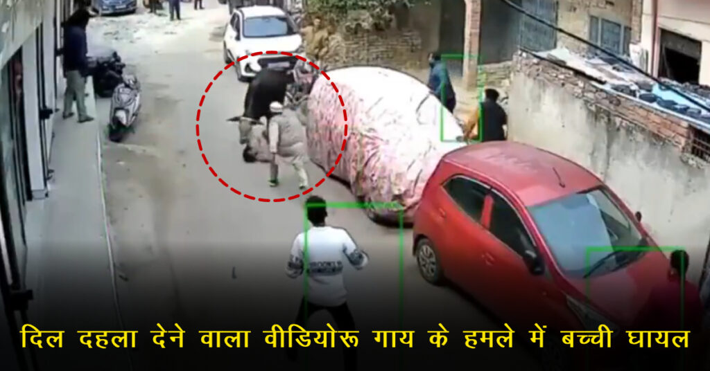 UP News: अखिलेश यादव ने “सांड हमले” का वीडियो शेयर कर सरकार पर साधा निशाना, आवारा पशुओं के मुद्दे पर फिर बहस तेज